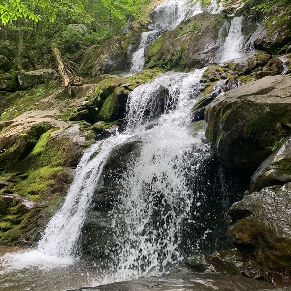 Meet your Posher, Lynn - Picture 1 of 1